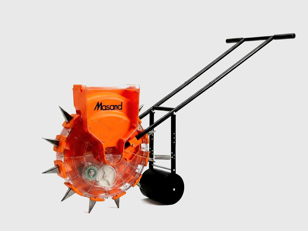 Masand ted