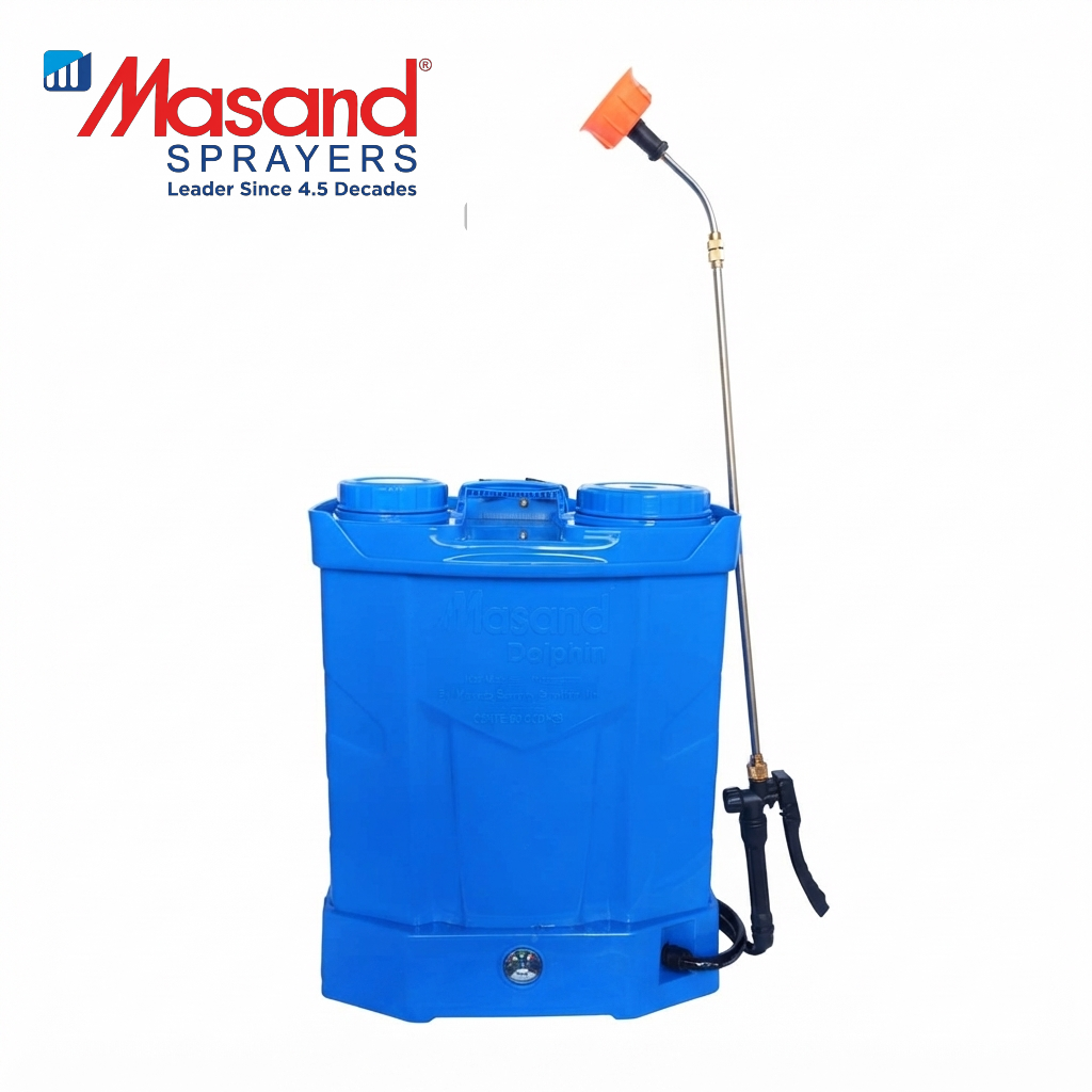 Masand Masand Dolphine