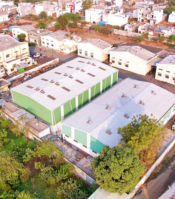 Masand plant from above